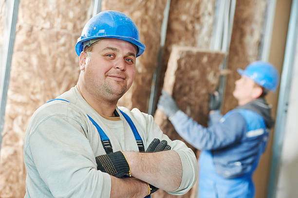 Best Insulation Maintenance and Repair in Euclid, OH